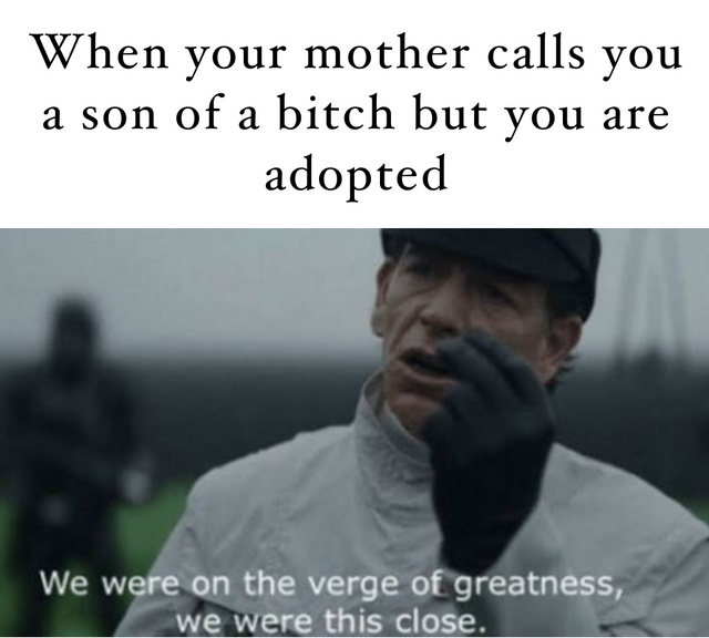 When your mother calls you son of a bitch but you are adopted - meme