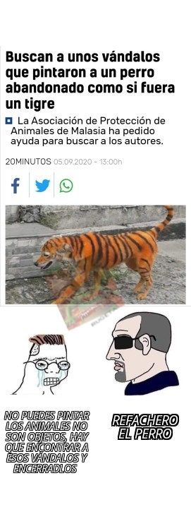 Refachero tigre - meme