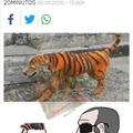 Refachero tigre