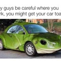 toad car