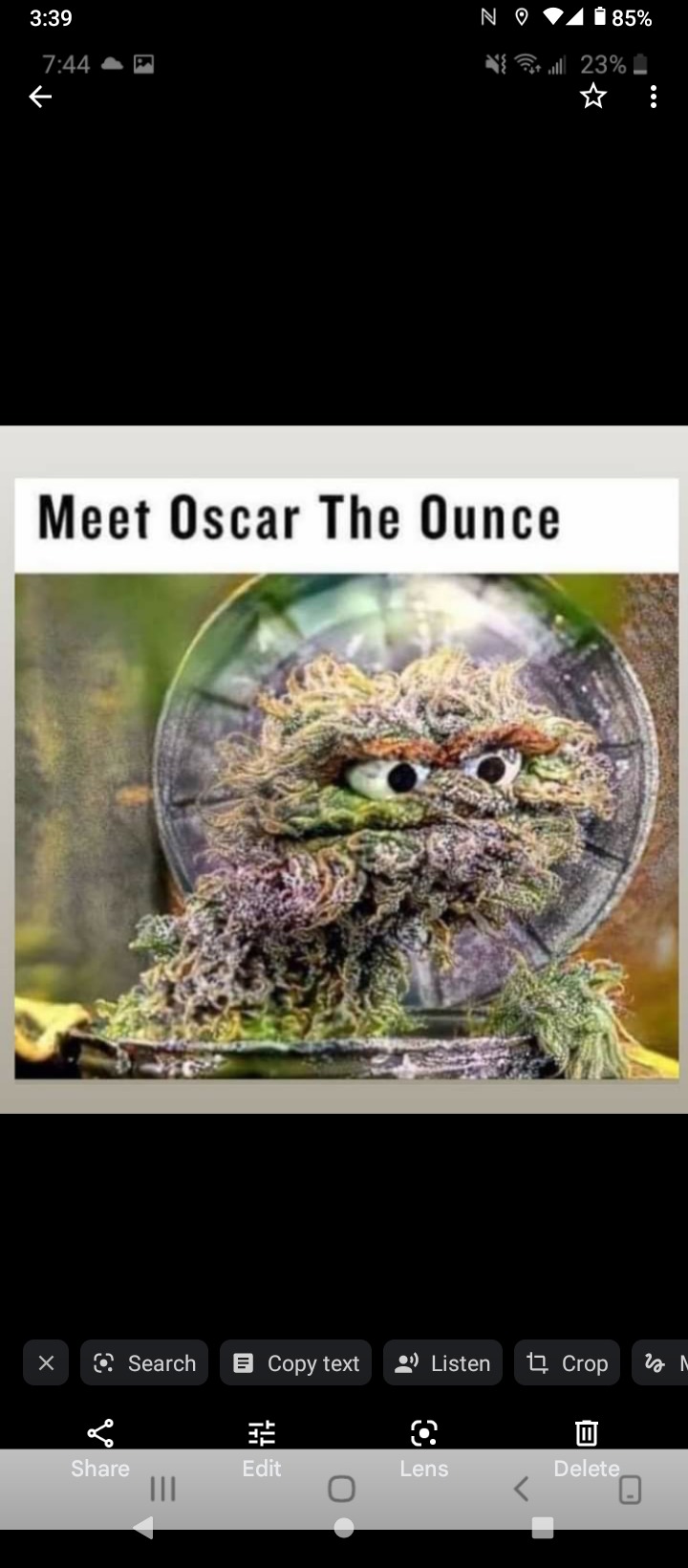 Oscar goes brrrr - meme