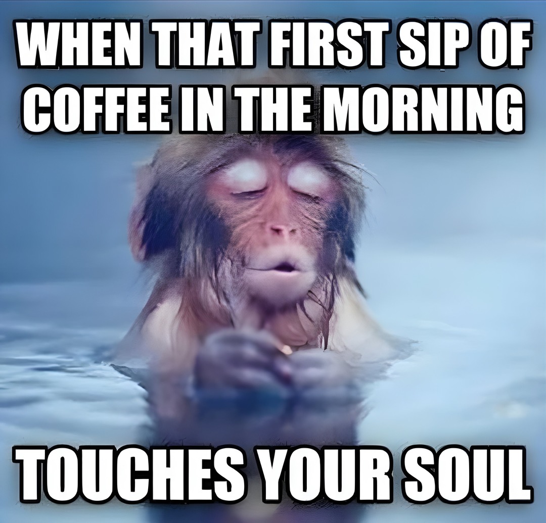 Your brain slowly starts to fire up after the first sip - meme