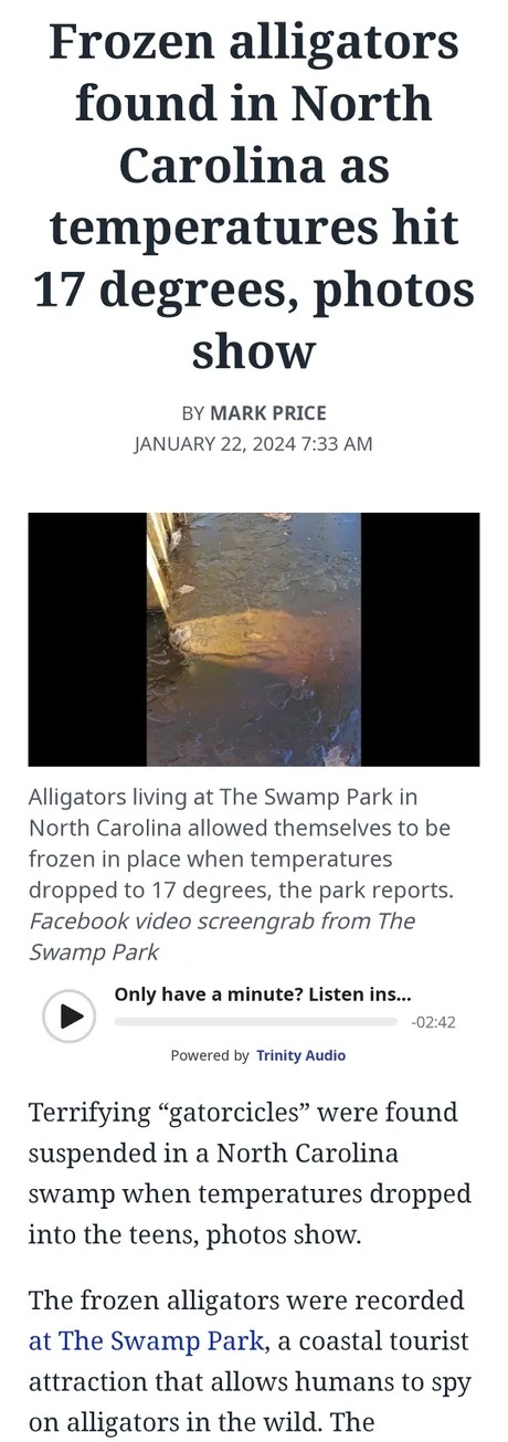 Frozen alligators found in North Carolina as temperatures hit 17 degrees - meme