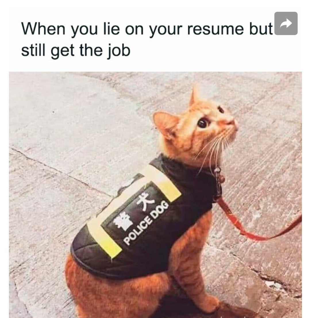 Ever lied on your resume! - meme
