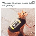 Ever lied on your resume!