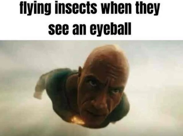 TrUe - meme