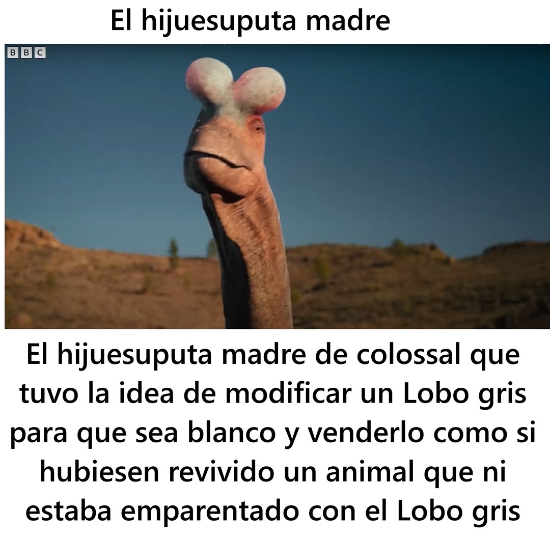 No revivieron ni madres, es todo marketing, cogieron un lobo gris y lo modificaron, y aunque el bicho se llame lobo terrible esta mas emparentado con los chacales. PD: VUELVE CAMINANDO ENTRE DINOSAURIOS - meme