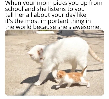 Mom listens like your day is a VIP event, absolute queen - meme