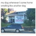 i can smell the dog