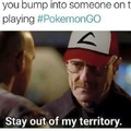 Breaking Pokémon