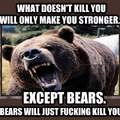 Fuck bears