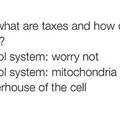 Mitochondria is the powerhouse of the cell