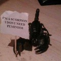 Silly Scorpions