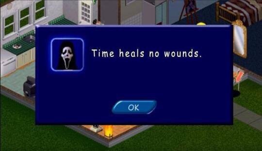 time heals no wounds - meme