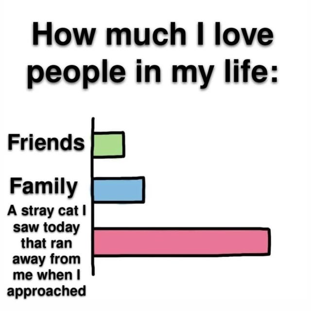 How much I love people: friends, family, random cat that ran away - meme