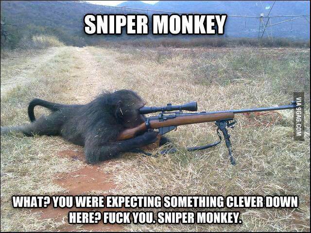 Sniper Monkey! =) - meme