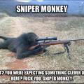 Sniper Monkey! =)
