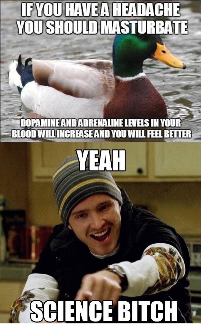 The duck said masturbate .... now masturbate - meme