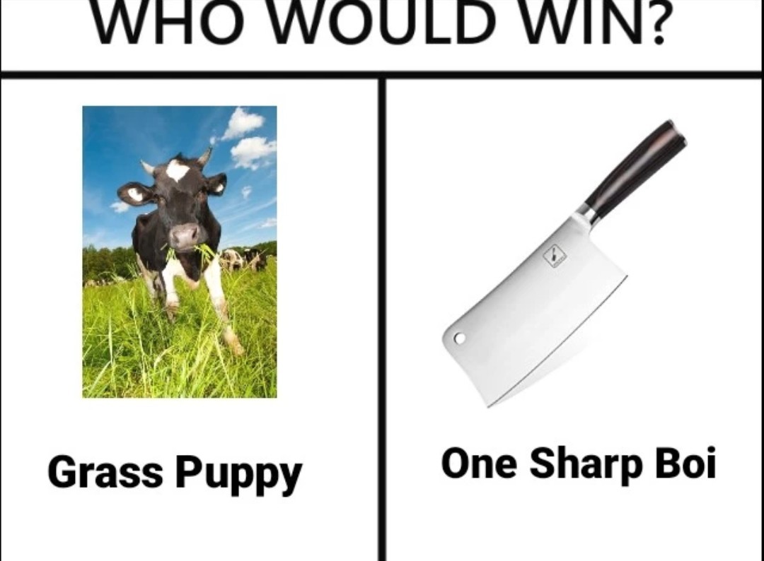 GRASS PUPPER OR SHARP BOI - meme