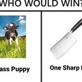 GRASS PUPPER OR SHARP BOI