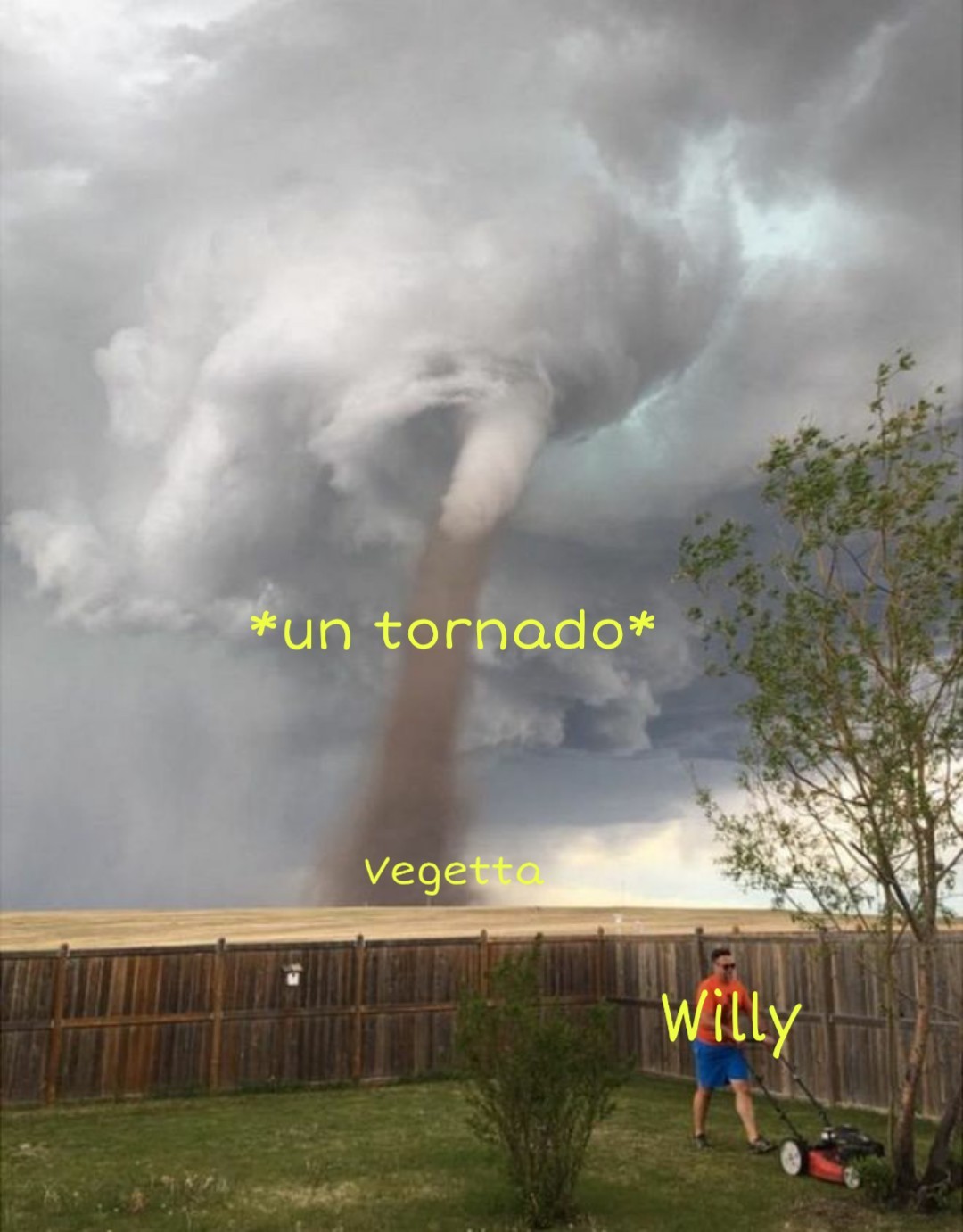 Willy un tornado! - meme