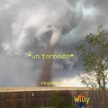 Willy un tornado!