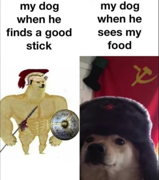 Stalin's dead dog go brrrr - meme