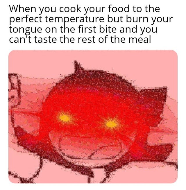 cook your food to the perfect temperature - meme