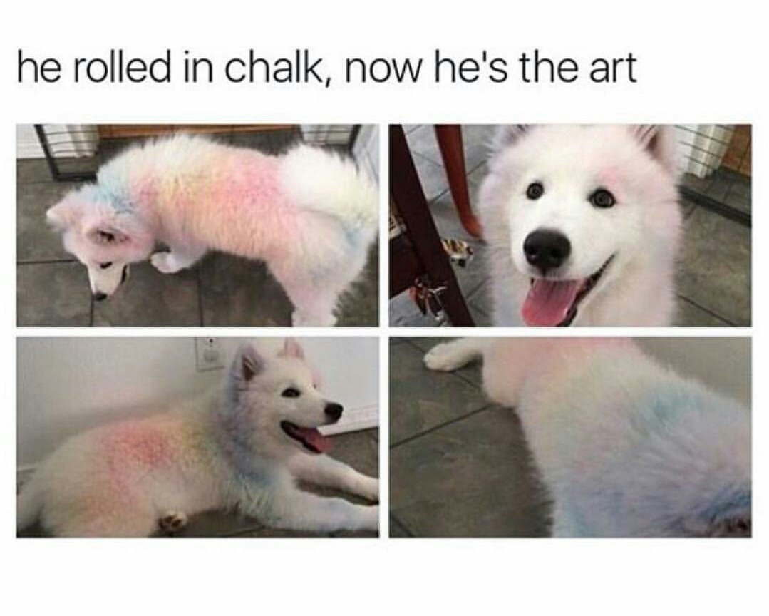 Art puppy - meme