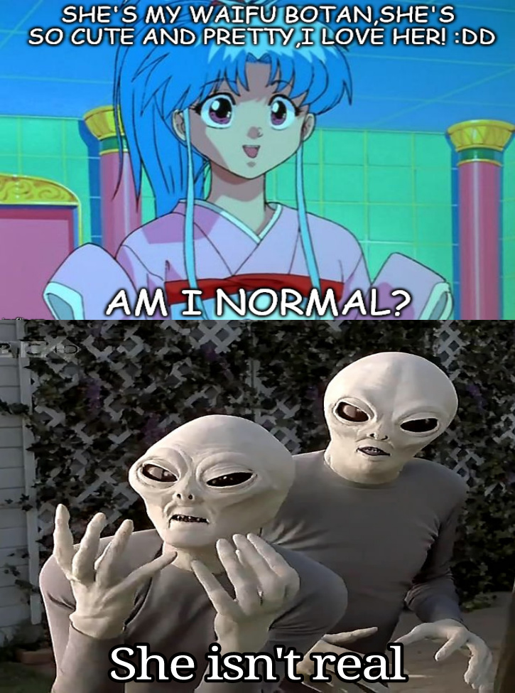 Do you think aliens have waifu too? - meme