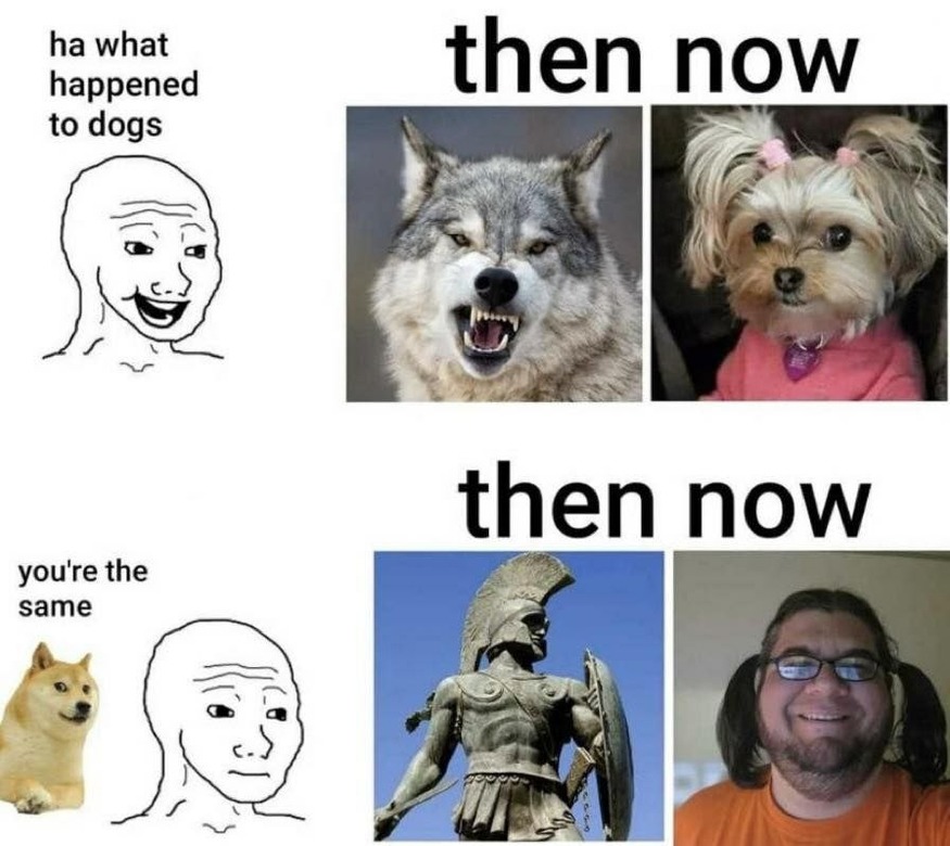 evolution - meme