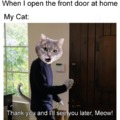 Leaving cat meme