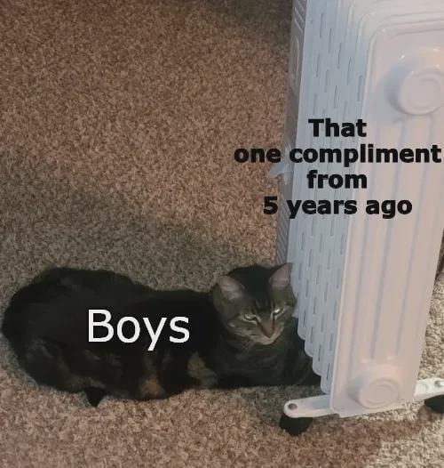 That one compliment from 2019 still fuels me - meme