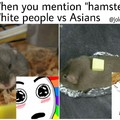 White people vs asians