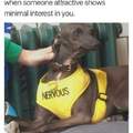 Nervous doggo