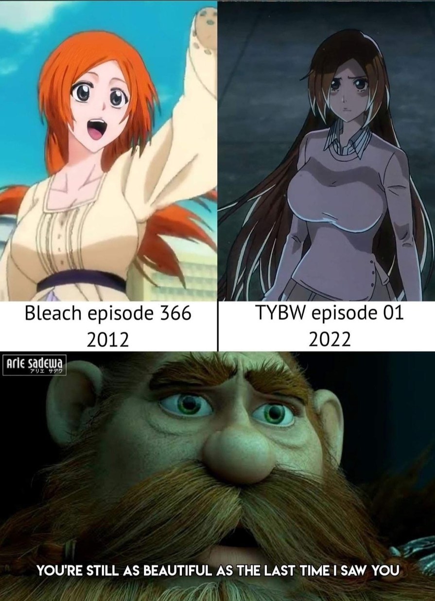 Memes anime memes and bleach anime 1795470 on animeshercom