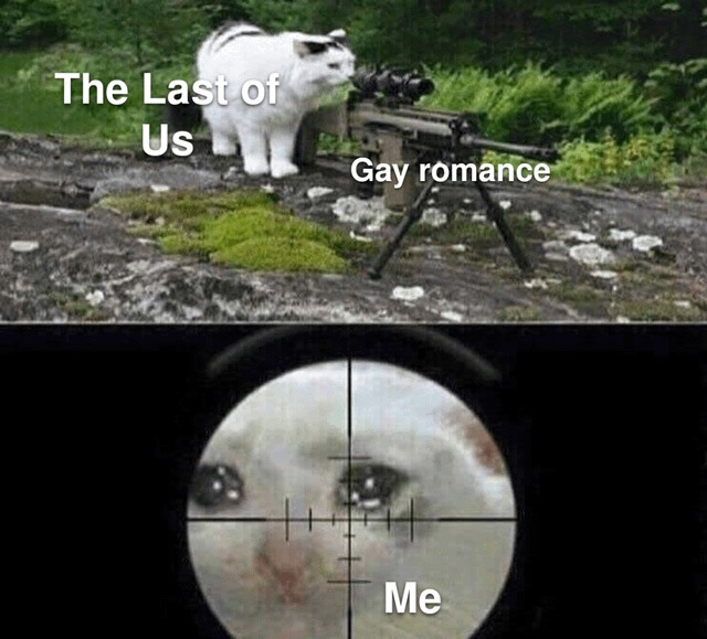 The Last of Us meme
