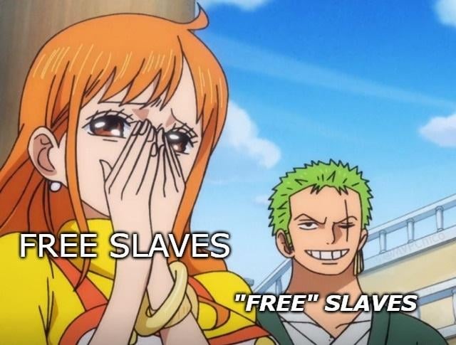Free slaves - meme