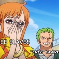 Free slaves