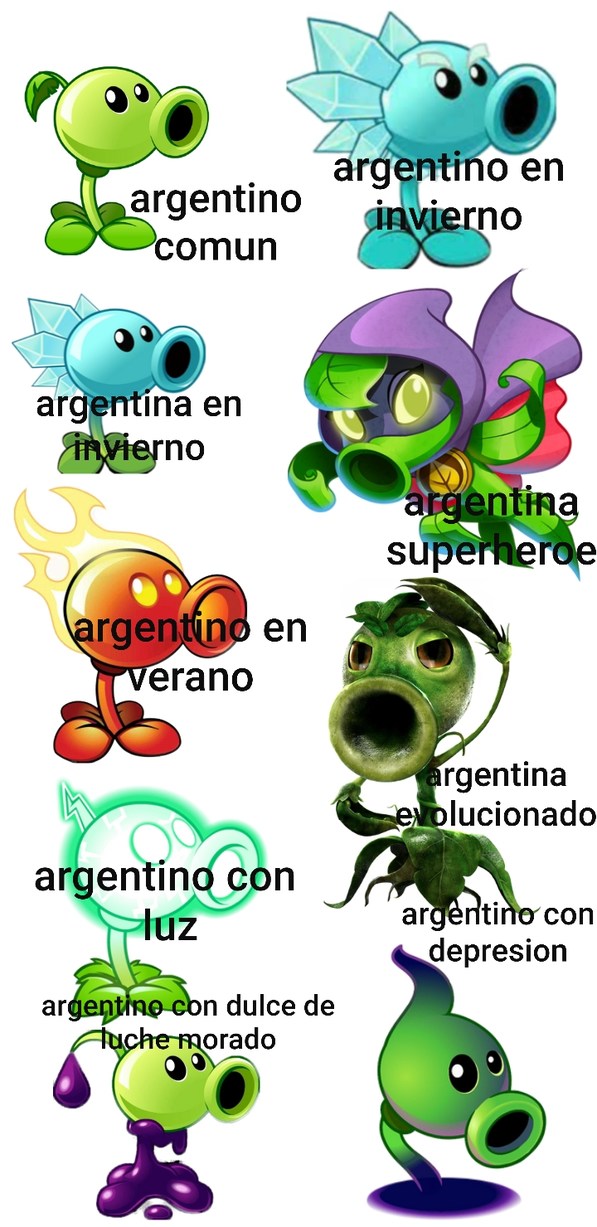 Tipos de argentinos - meme