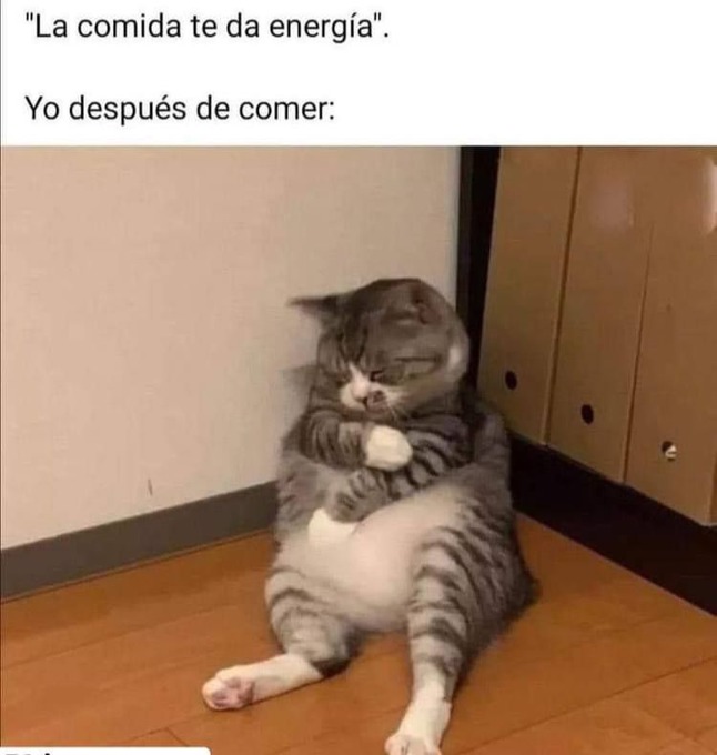 yo después de comer - meme