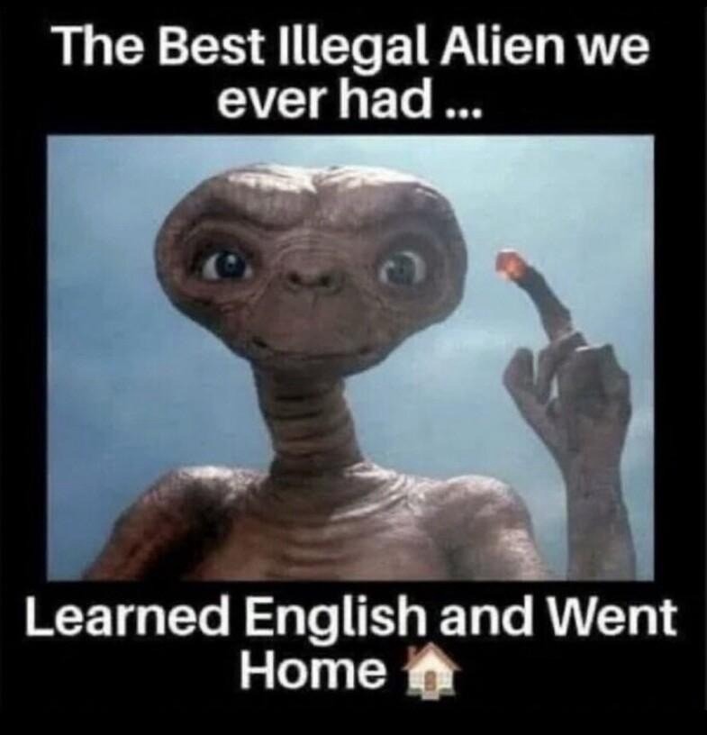 And alf - meme