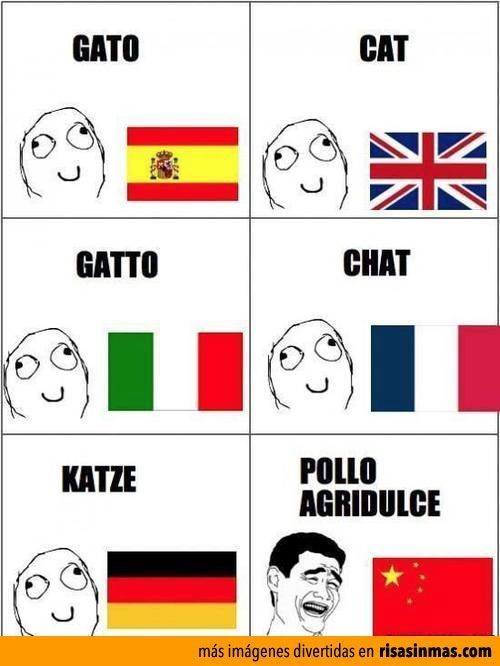 Aprendiendo idiomas - meme