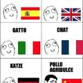 Aprendiendo idiomas