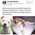 Ese perro me llena de orgullo