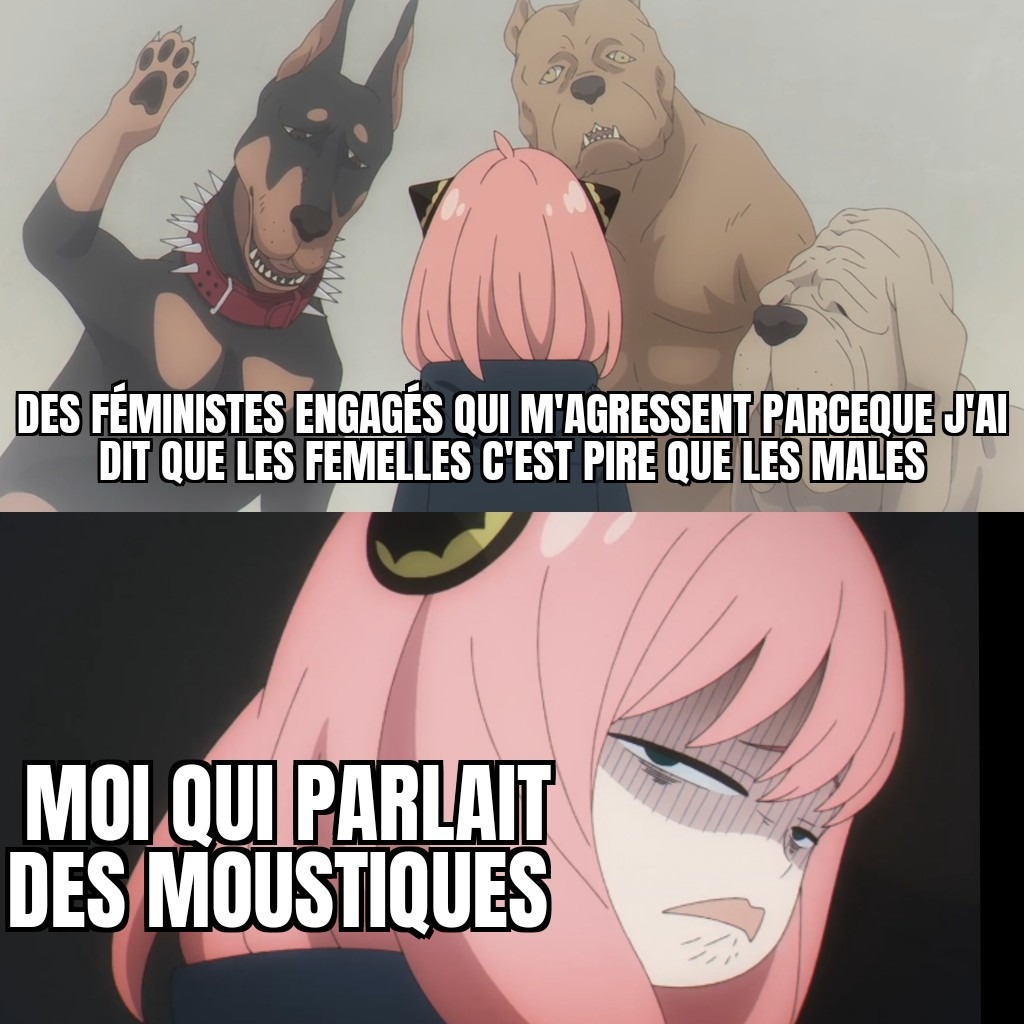 Les féministes - meme