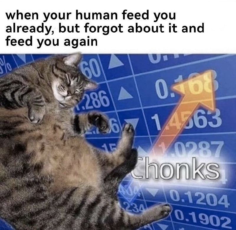 When your human forgets they already fed you and does it again - meme