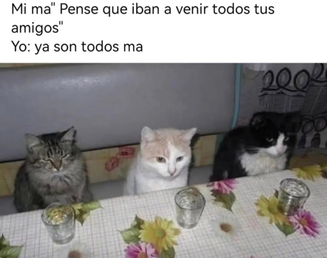 mi ma pensó que vendrían todos y al final ya vinieron - meme