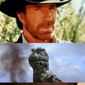 Chuck Norris Vs Godzilla: in tangenziale andiamo a comandare