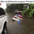 It seems Florida people wont die after headshots...